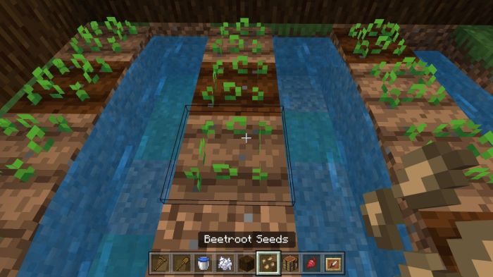 Can you plant seeds in minecraft