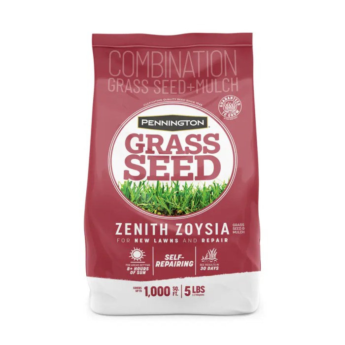 Can you plant zoysia seed