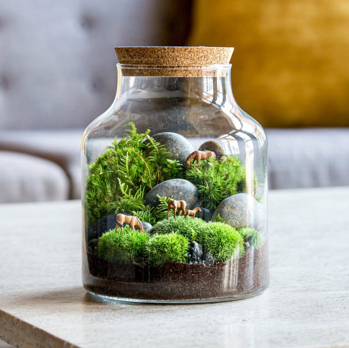 Terrariums terrarium containers growing globe grow succulents moss mobile テラリウム