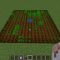 Can You Plant Seeds in Minecraft?