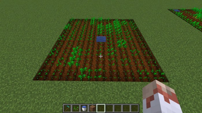 Can you plant seeds in minecraft