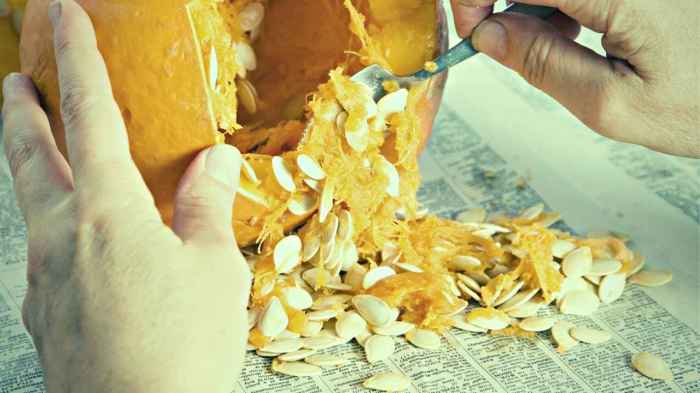 Can you plant pumpkin seeds from supermarket