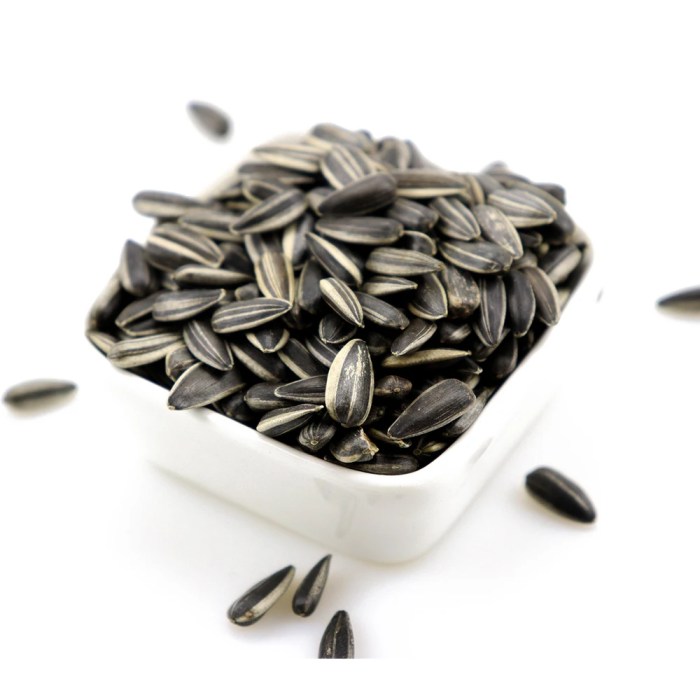 Can you plant salted sunflower seeds