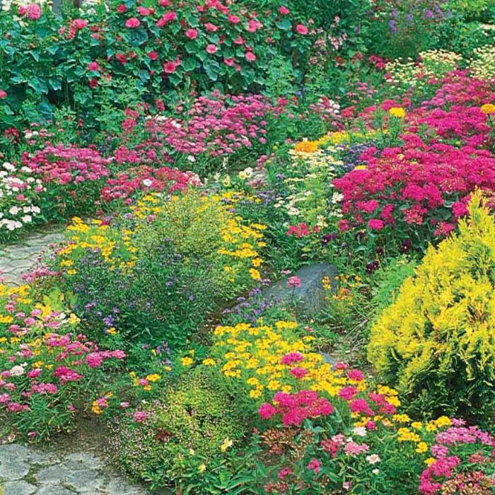 Can you plant wildflower seeds in mulch