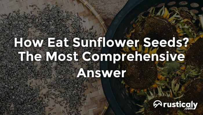 Can you plant the sunflower seeds you eat