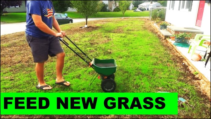 Lawn seed seeding aerate