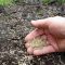 Can You Plant Grass Seed Without Tilling?