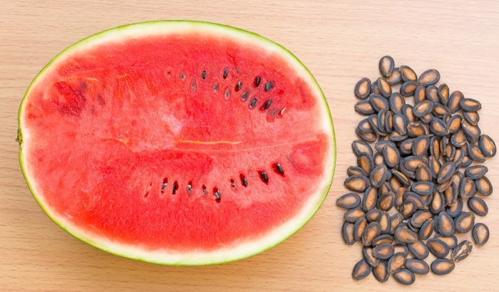 Can you save watermelon seeds to plant