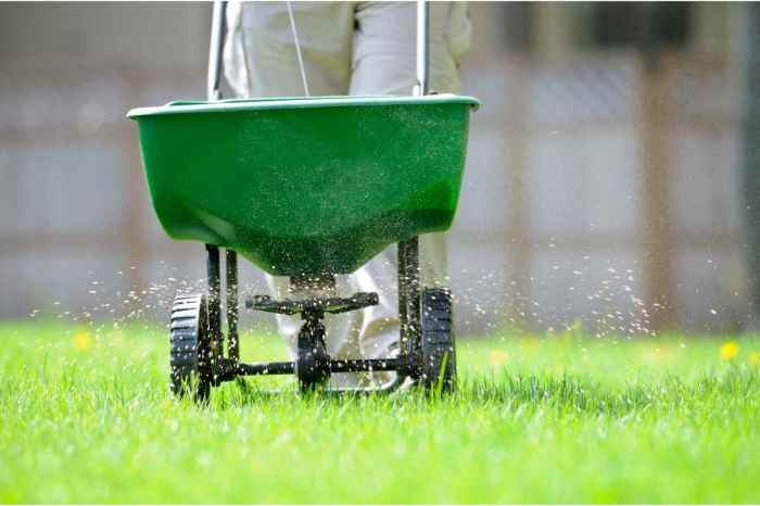 Can you plant grass seed with lime