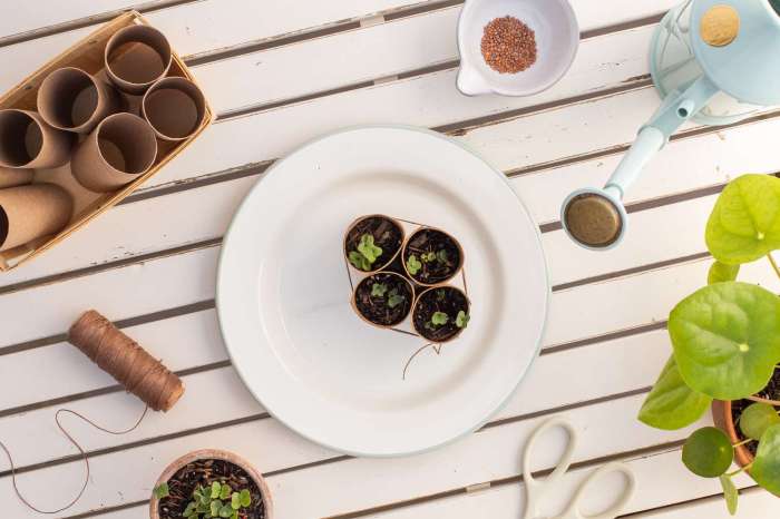 Can you plant seeds in toilet paper rolls