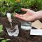 Can You Plant Seeds in Garden Soil?