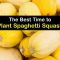 Can You Plant Spaghetti Squash Seeds?